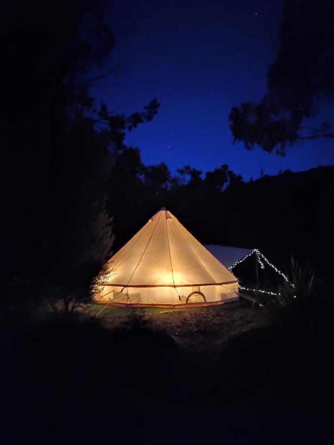 Glamping At Zeehan Bush Camp Ngoại thất bức ảnh