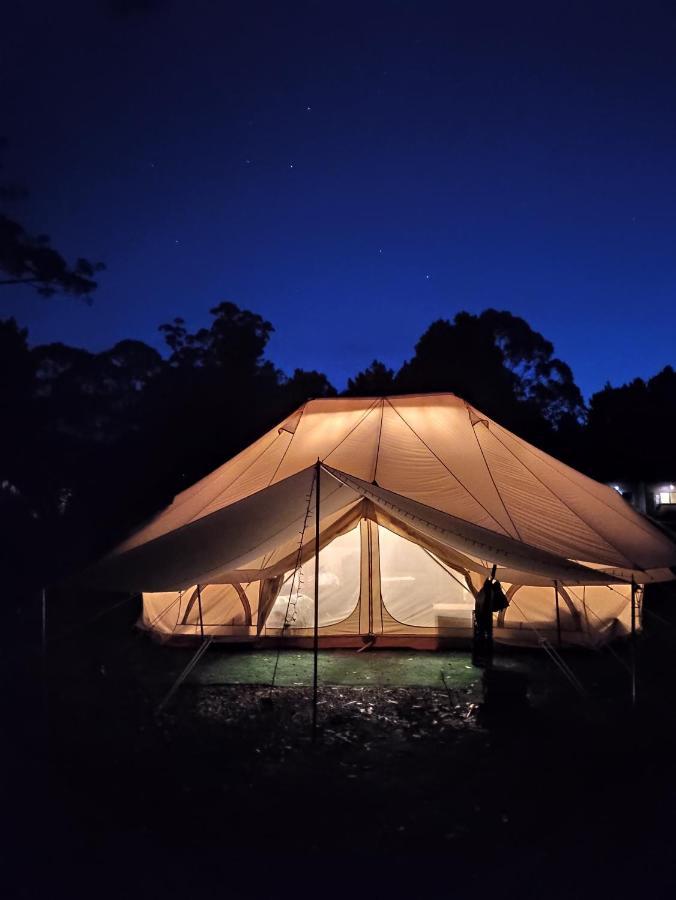 Glamping At Zeehan Bush Camp Ngoại thất bức ảnh