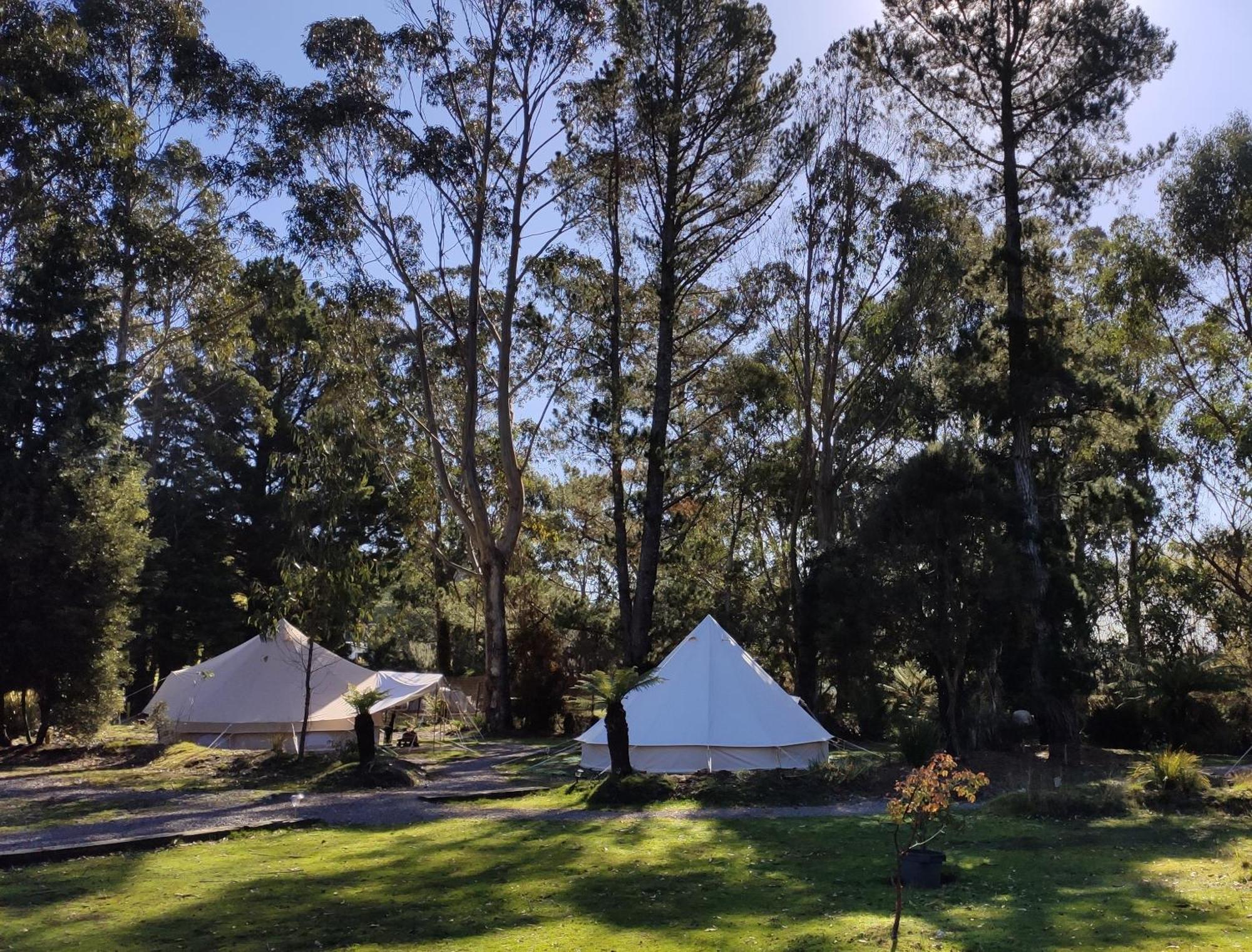 Glamping At Zeehan Bush Camp Ngoại thất bức ảnh