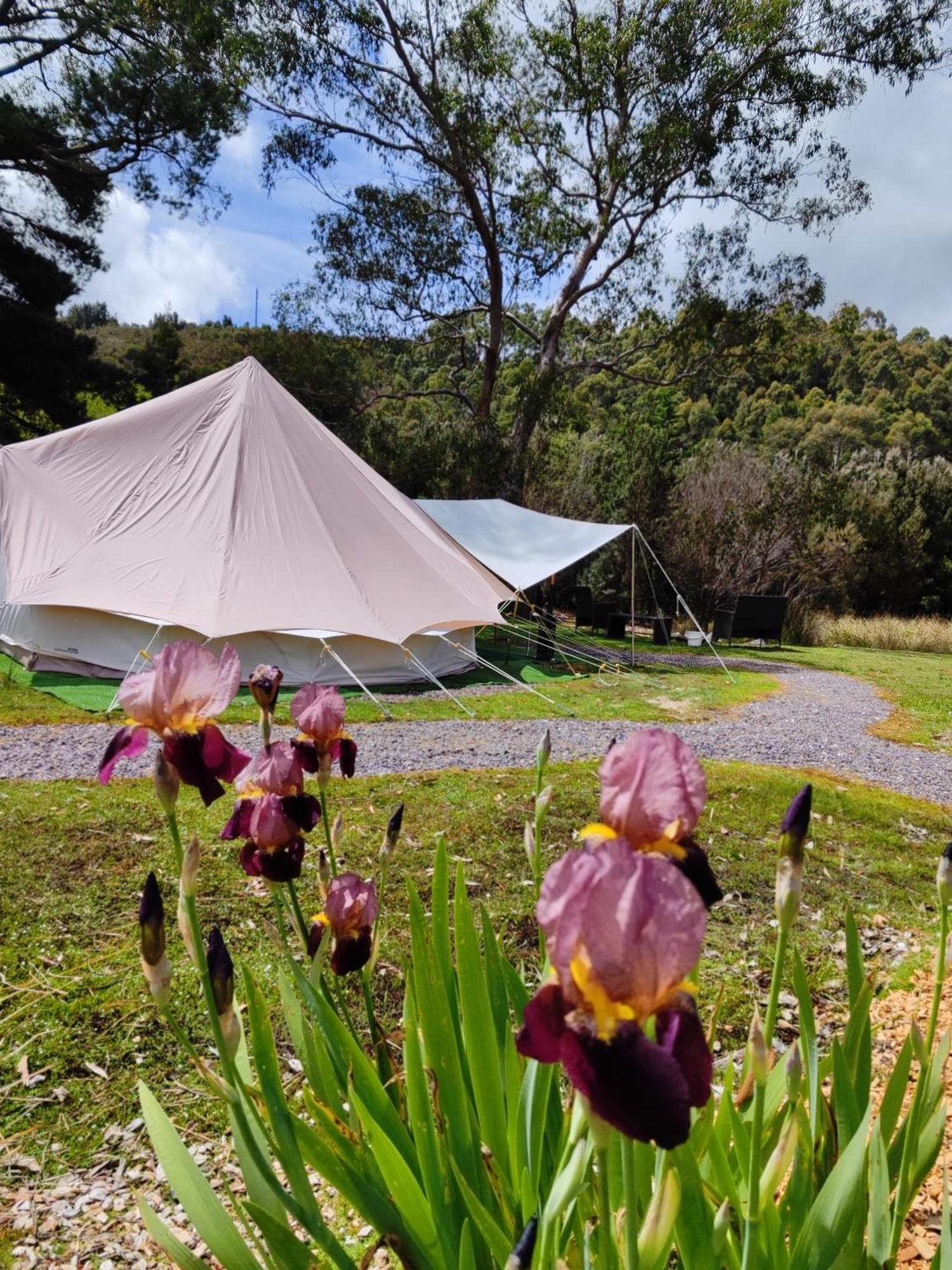 Glamping At Zeehan Bush Camp Ngoại thất bức ảnh