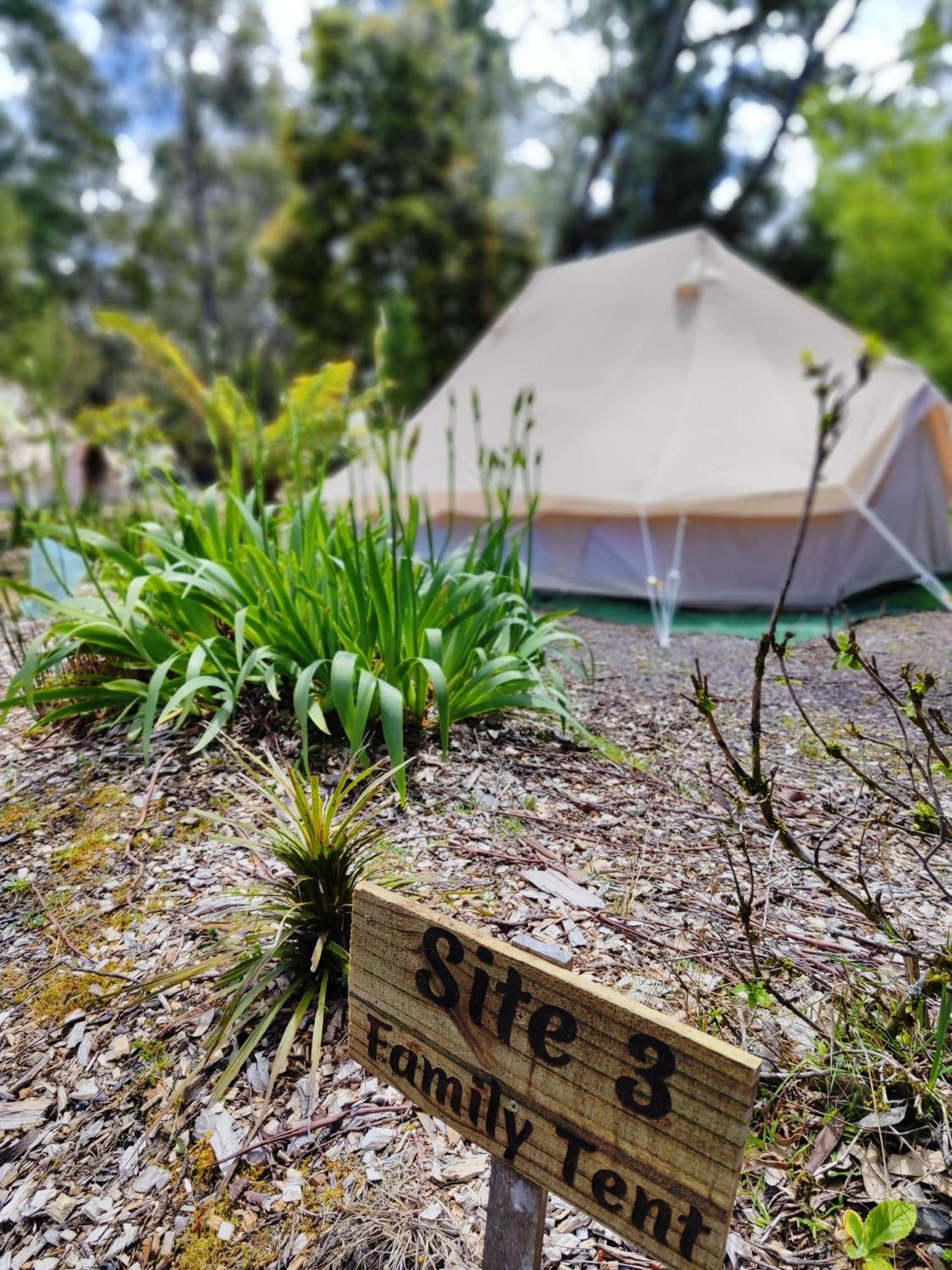 Glamping At Zeehan Bush Camp Ngoại thất bức ảnh