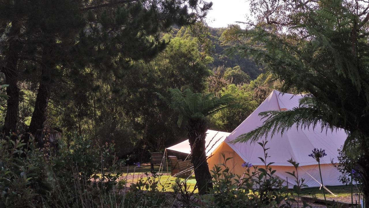 Glamping At Zeehan Bush Camp Ngoại thất bức ảnh